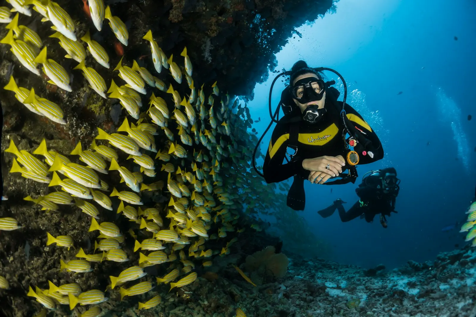 Reef Dive in Xlendi, Gozo